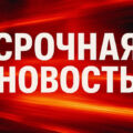 Экстрадиция Бориса Алешина: международная операция с участием Интерпола