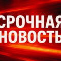 Лихорадка Западного Нила официально пришла в Израиль 