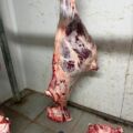 Тамре изъято и уничтожено около 500 кг мяса без ветеринарной документации