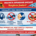 Подтверждения еще одного случая заболевания, вызванного амебой Naegleria fowleri
