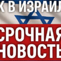 В Израиле обнаружены два шакала с бешенством